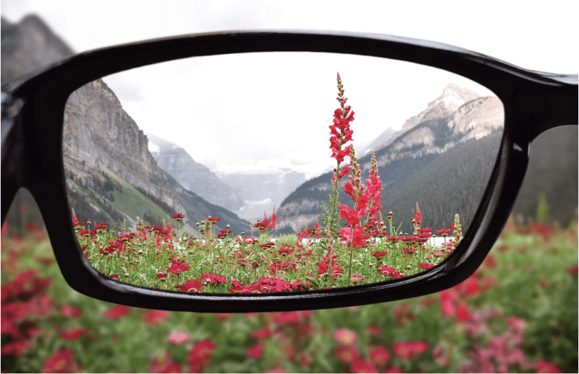 Leading with clarity - a pair of glasses with flowers in front of them